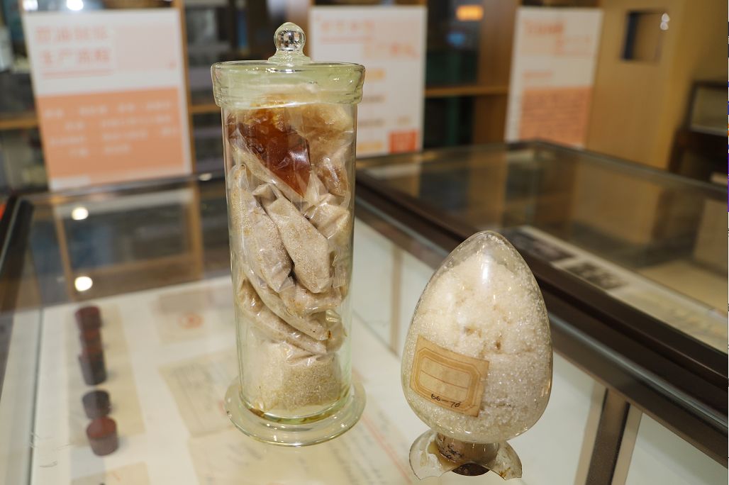 曾创日榨蔗5000吨辉煌佳绩,全国最大甘蔗制糖厂