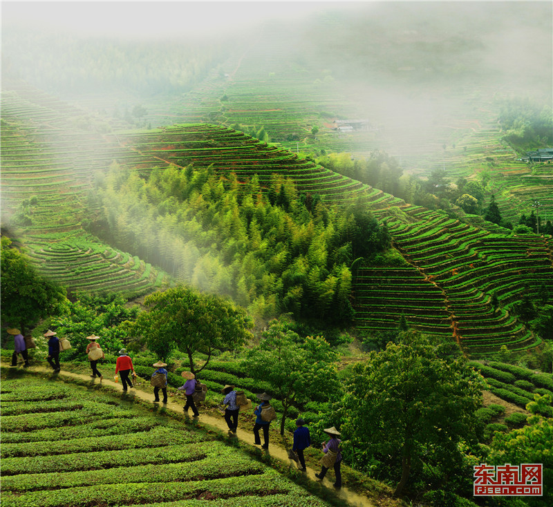 晋江经验与创新,晋江经验靠改革创新