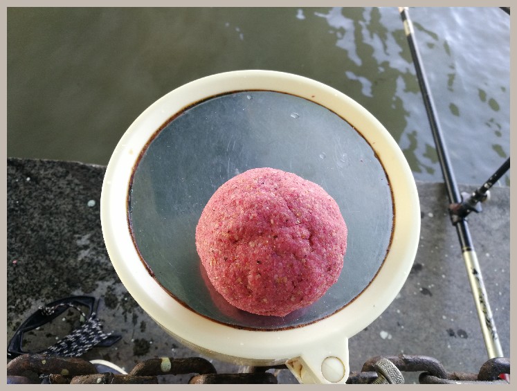 结伴同行首钓新城市高温也丰收