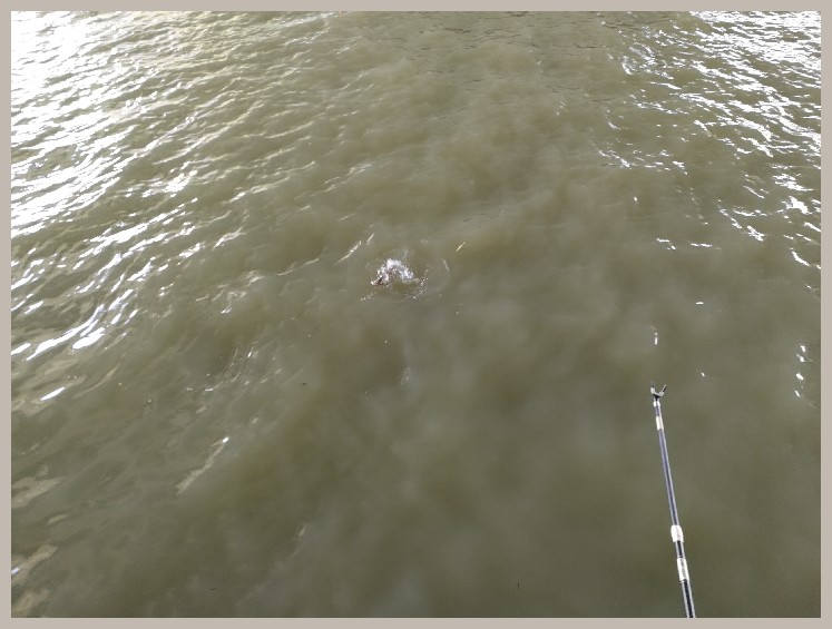 结伴同行首钓新城市高温也丰收