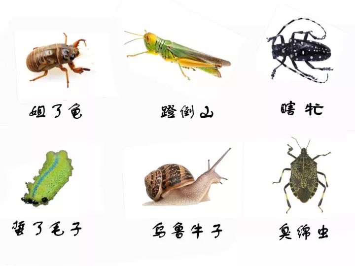 真正的滕州,是不是正宗江西人用一句话证明