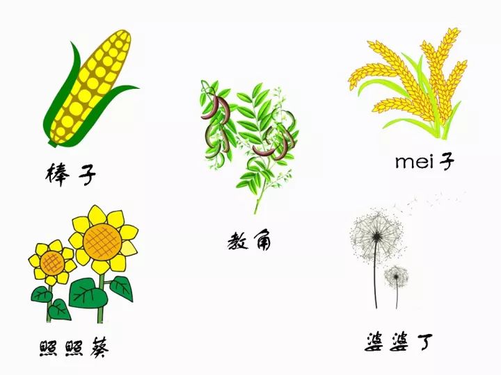 真正的滕州,是不是正宗江西人用一句话证明