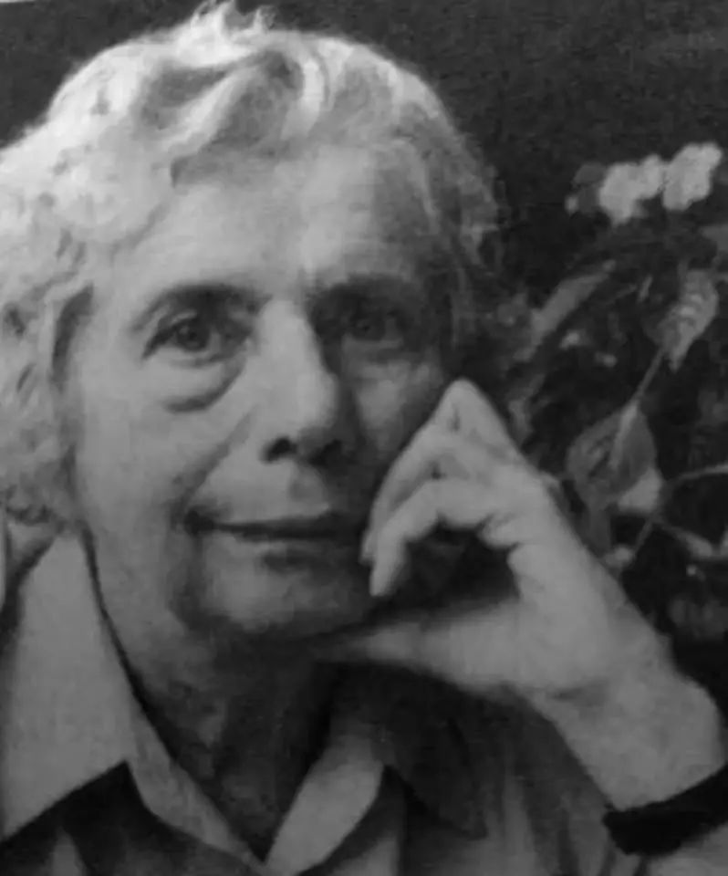 失眠探秘：睡眠节制、梦境与奇点