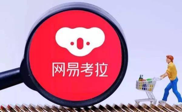 阿里收购考拉平台,阿里巴巴并购网易考拉