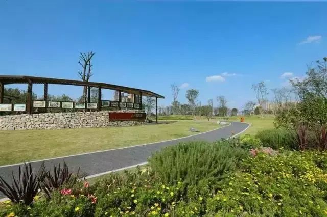 来成都玩的景点,来成都公园逛逛