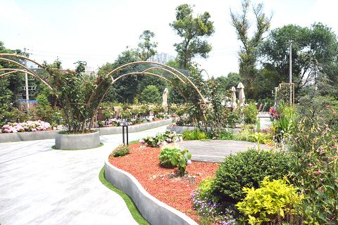 来成都玩的景点,来成都公园逛逛