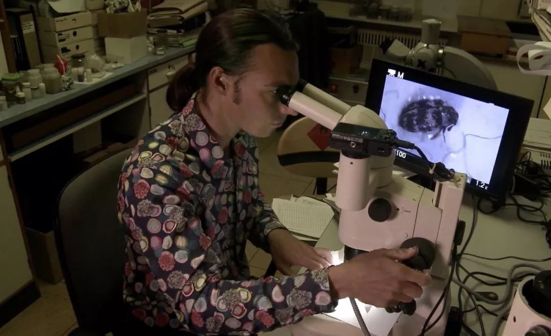 在博物馆工作是干什么,博物馆工作一般工资多少