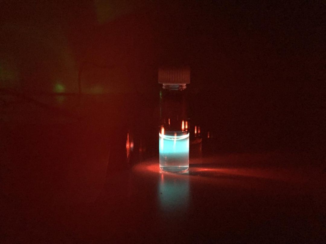 科学家研究超人类婴儿,科学家测试人类视觉