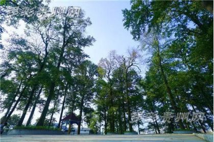 多彩妹摆贵州丨贵州十大少数民族村落,你喜欢的样子全都有