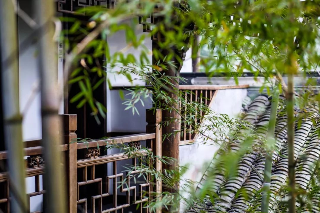 观云民宿推荐,民宿观云海