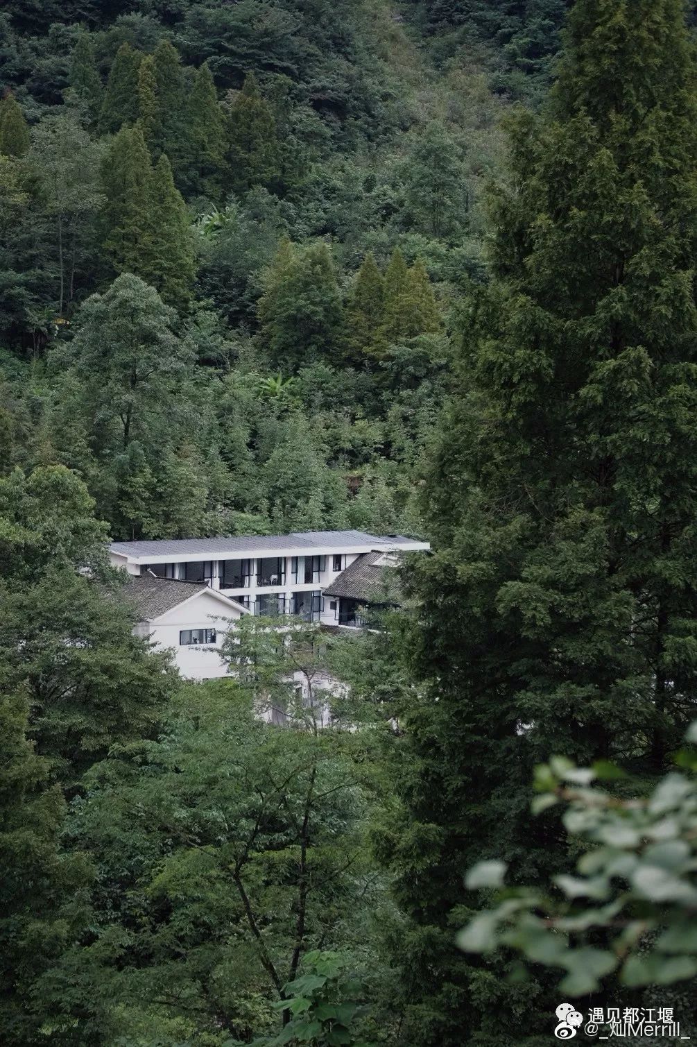 观云民宿推荐,民宿观云海
