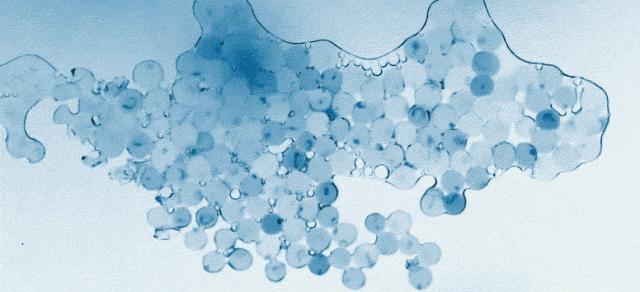 21天测评,21天全测评