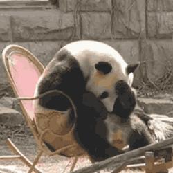 午休趴着睡手麻求妙招,午觉趴着睡腿麻手麻