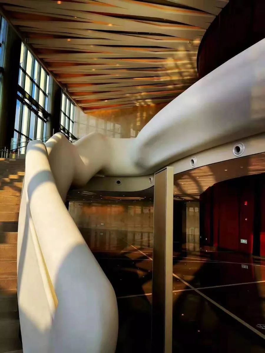 九棵树上海未来艺术中心小剧场,九棵树上海未来艺术中心图文