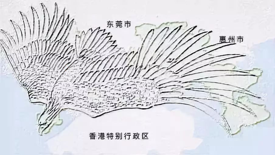 人容颜弹指老,深圳却永远年轻