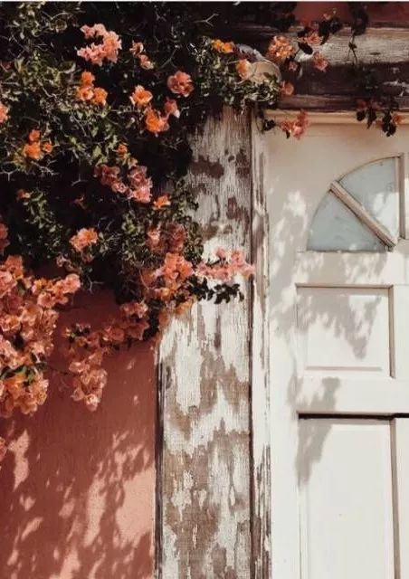 秋季灵感碰瓷-今年没有一件这样的「南瓜色」单品,都不算秋天