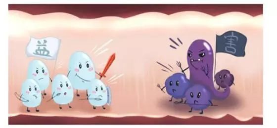 益生菌的作用和利弊,益生菌的利和弊