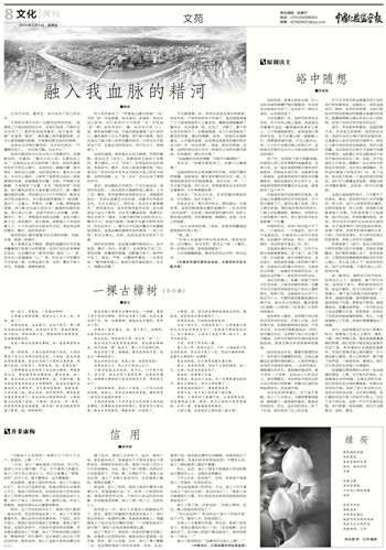 秦岭：融入我血脉的耤河