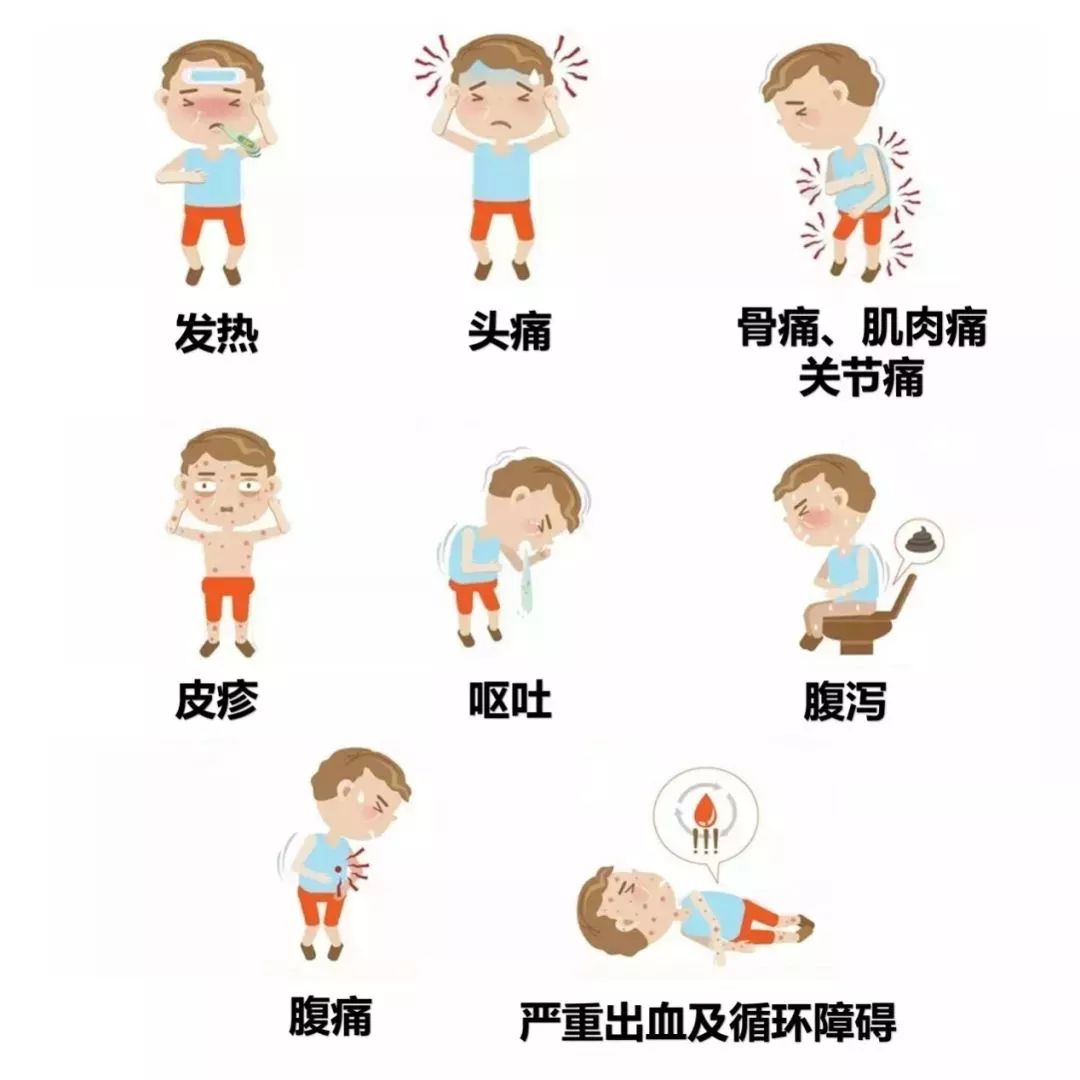 登革热进入高发期防控技能了解下,登革热来袭防控方法需牢记