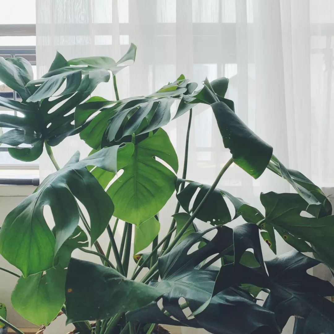 私心北京家居好店大公开,竟变成了剁手之旅...