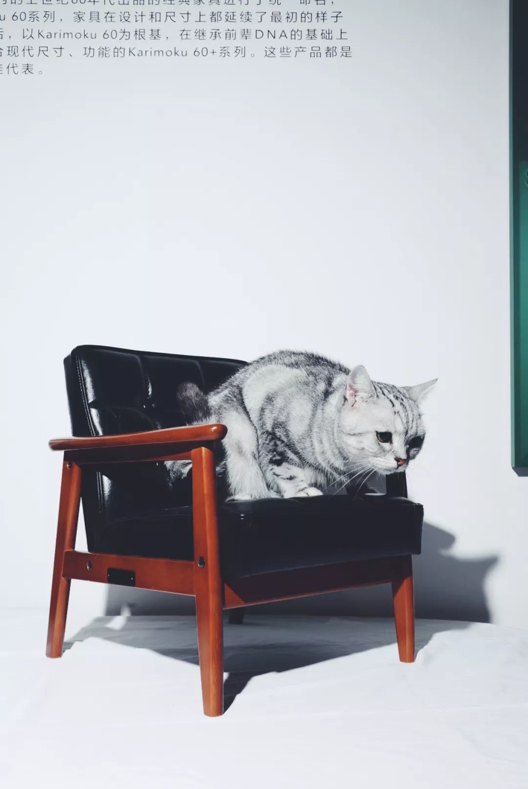 私心北京家居好店大公开,竟变成了剁手之旅...