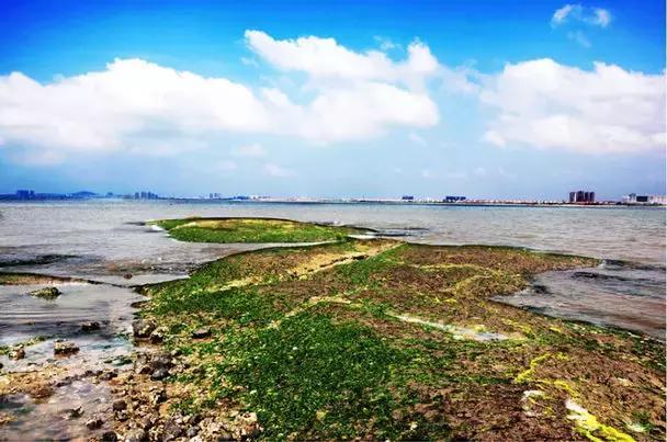 你心目中的乳山是什么样子的?