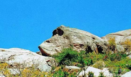 你心目中的乳山是什么样子的?