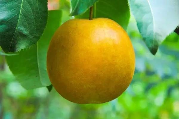 你心目中的乳山是什么样子的?