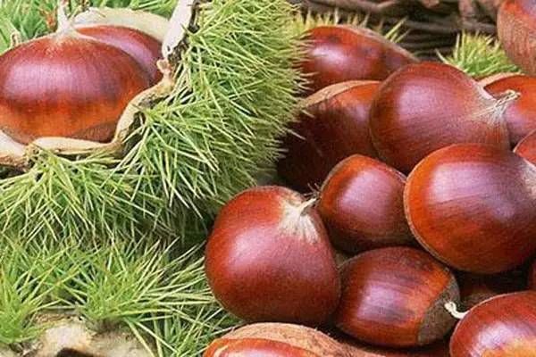 你心目中的乳山是什么样子的?