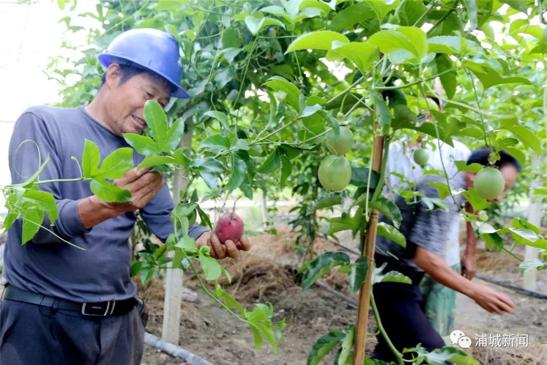 浦城最值得去的古村,浦城美丽乡村
