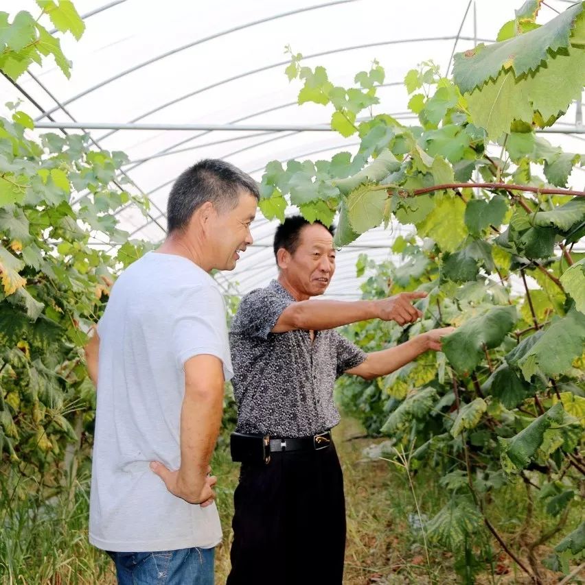 浦城最值得去的古村,浦城美丽乡村
