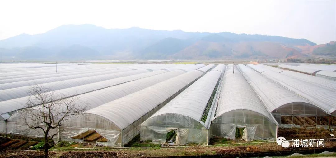 浦城最值得去的古村,浦城美丽乡村