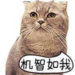 打碎一支体温计会引起中毒吗,打碎一支体温计严重吗