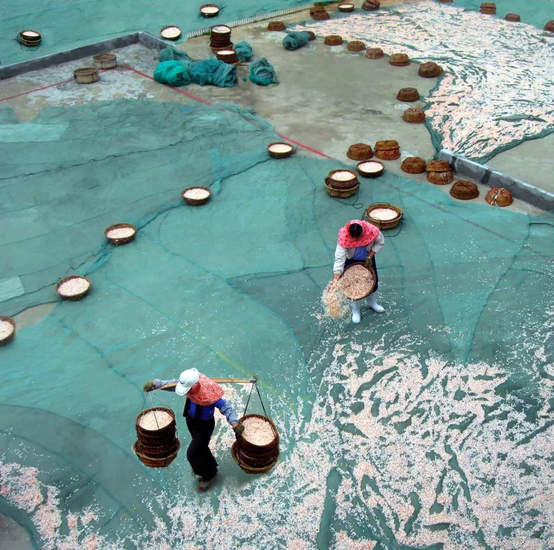 你以为的福建泉州惠安,你以为的泉州惠安