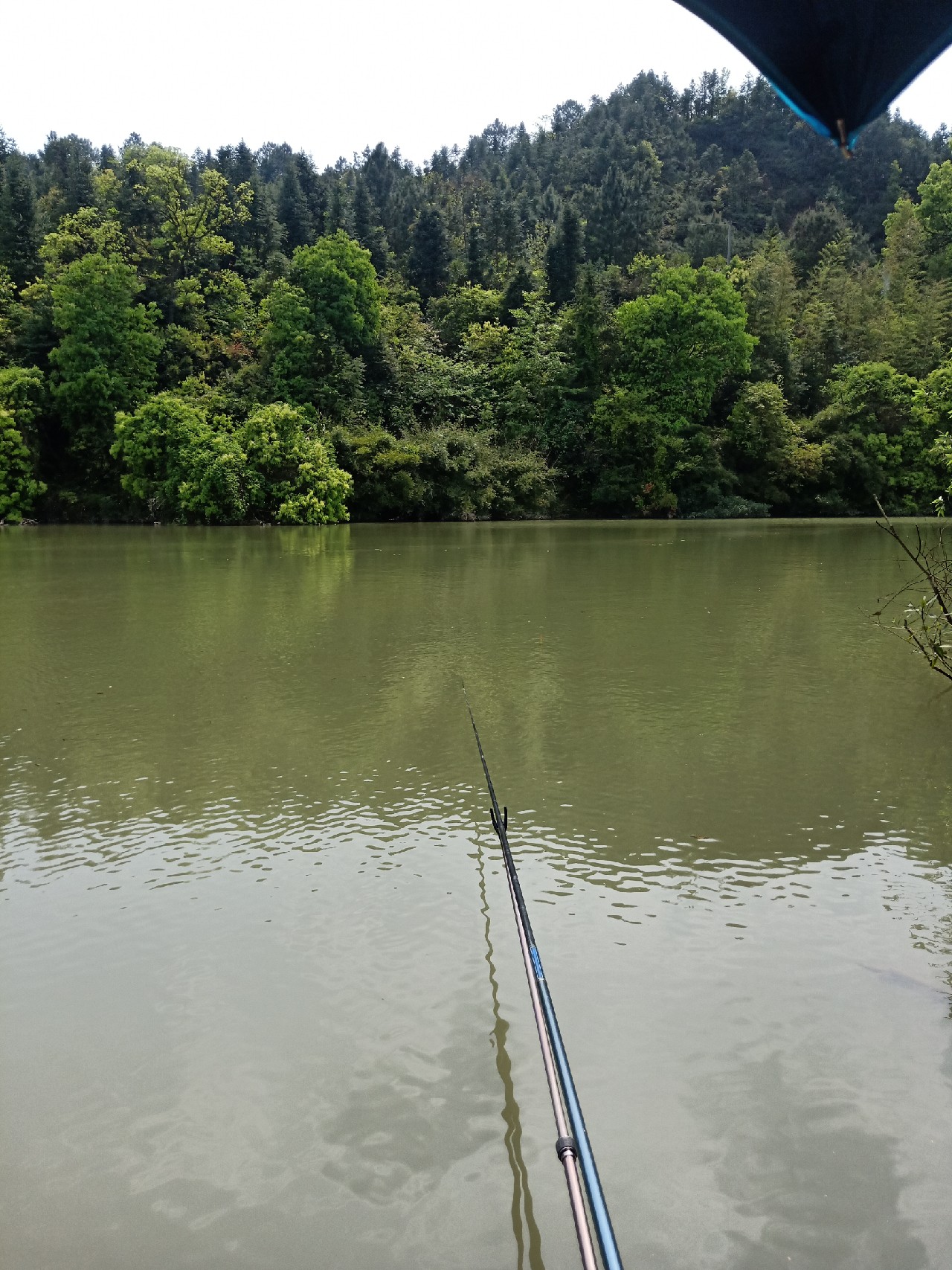 钓鱼已有几年，如今只能欣赏钓友钓鱼了...
