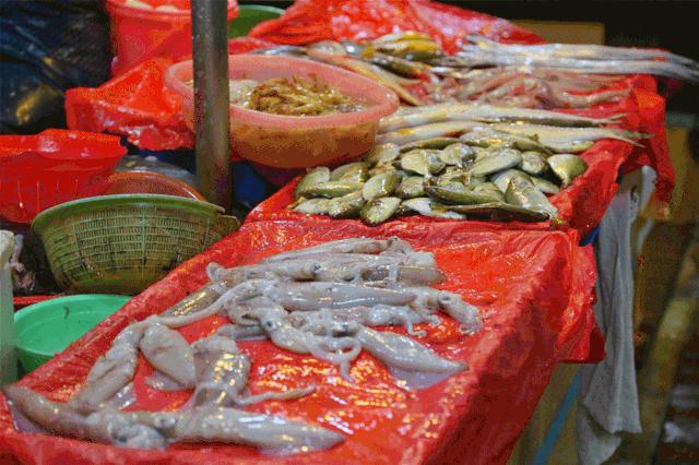 厦门2天1夜美食,厦门两天美食攻略