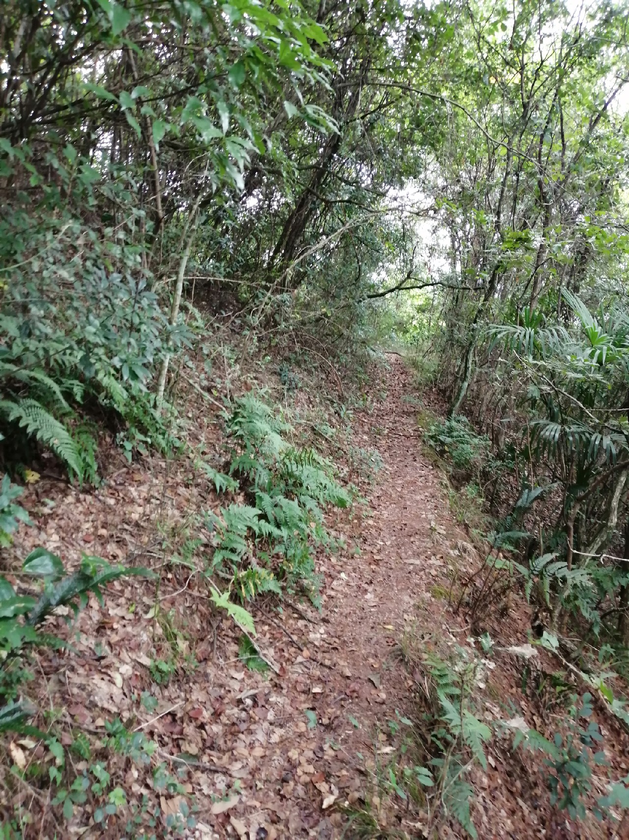 别人对你说钓鱼是什么意思,对于钓鱼各位钓友有什么看法