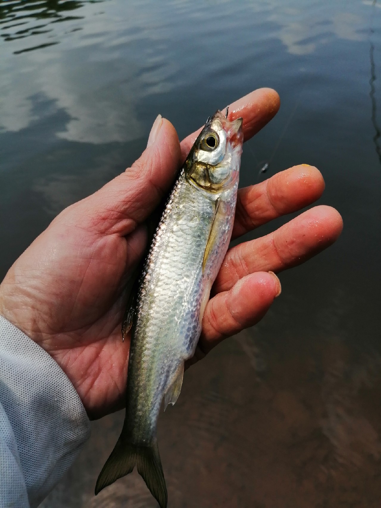 别人对你说钓鱼是什么意思,对于钓鱼各位钓友有什么看法