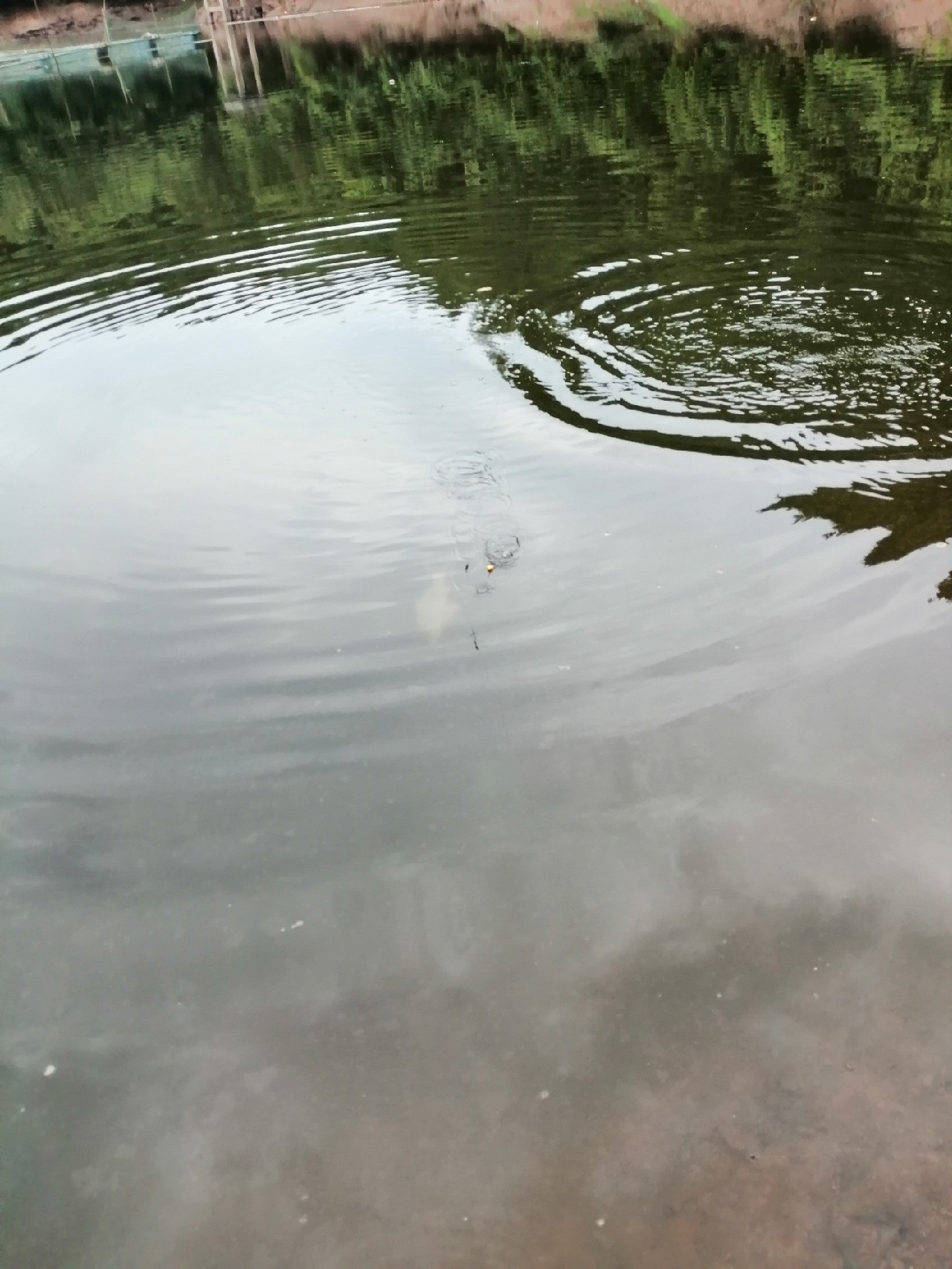 别人对你说钓鱼是什么意思,对于钓鱼各位钓友有什么看法