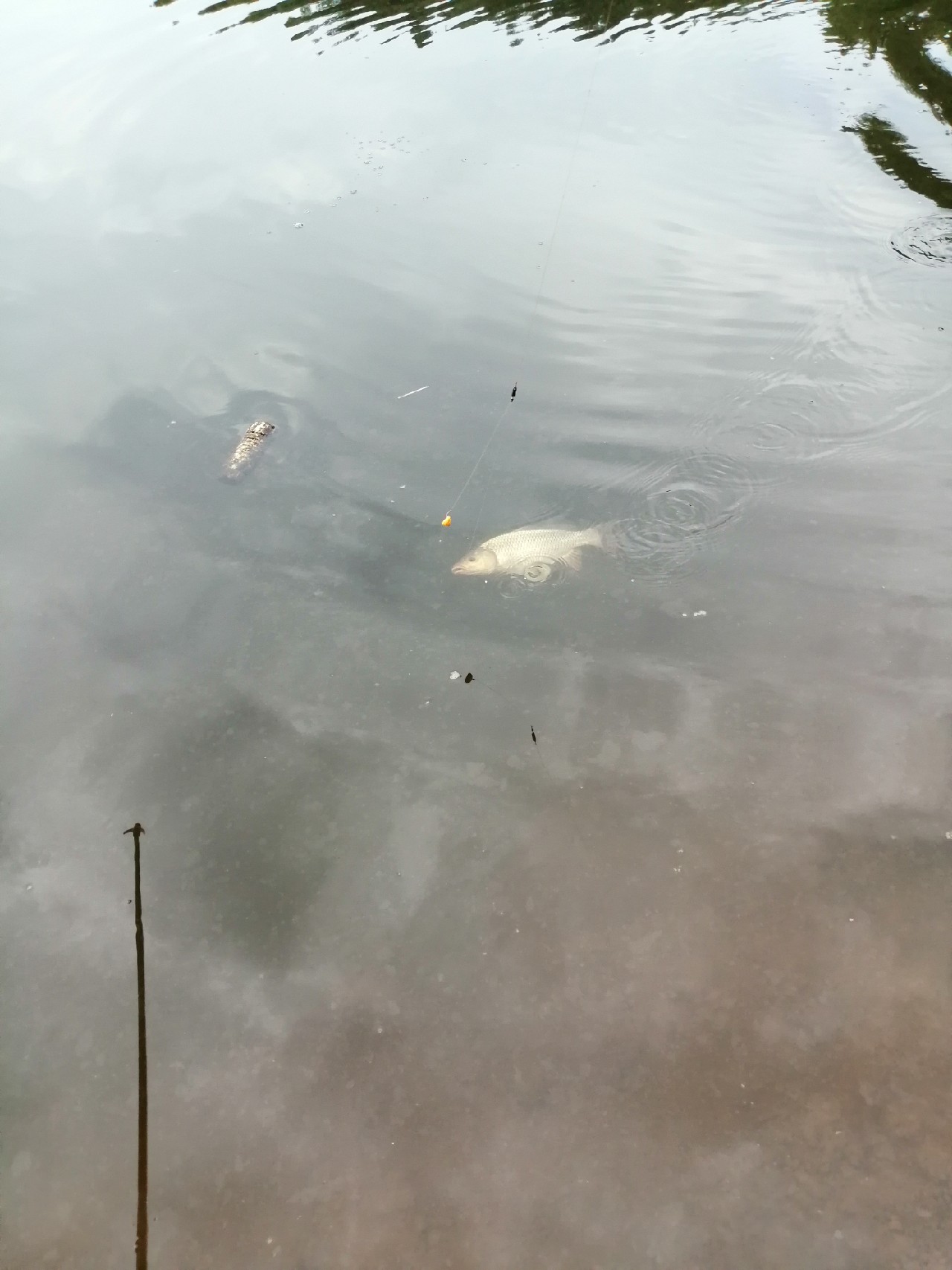 别人对你说钓鱼是什么意思,对于钓鱼各位钓友有什么看法