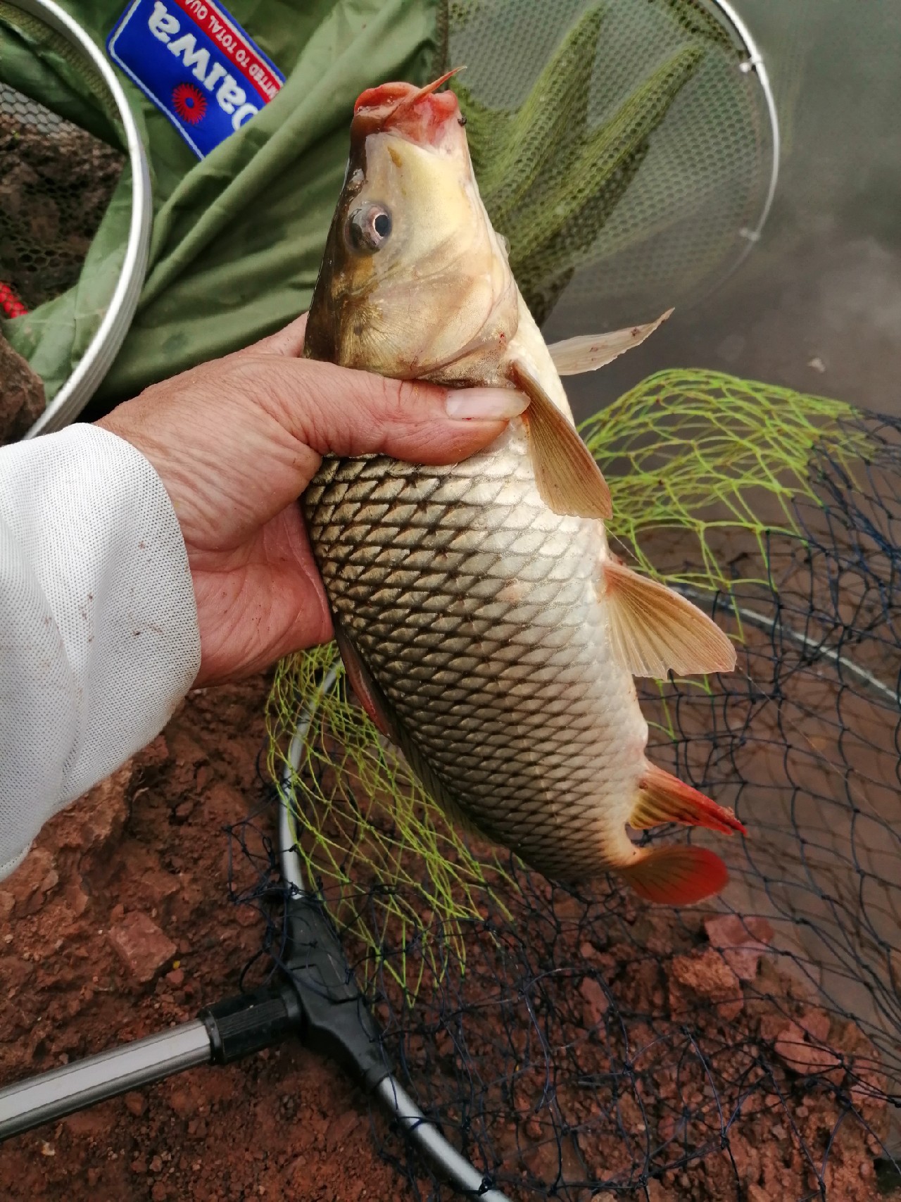 别人对你说钓鱼是什么意思,对于钓鱼各位钓友有什么看法