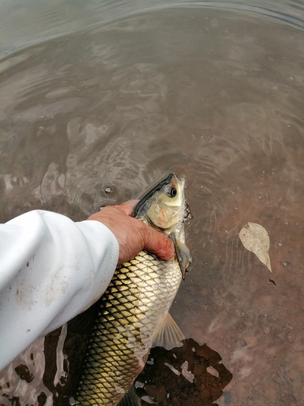 别人对你说钓鱼是什么意思,对于钓鱼各位钓友有什么看法