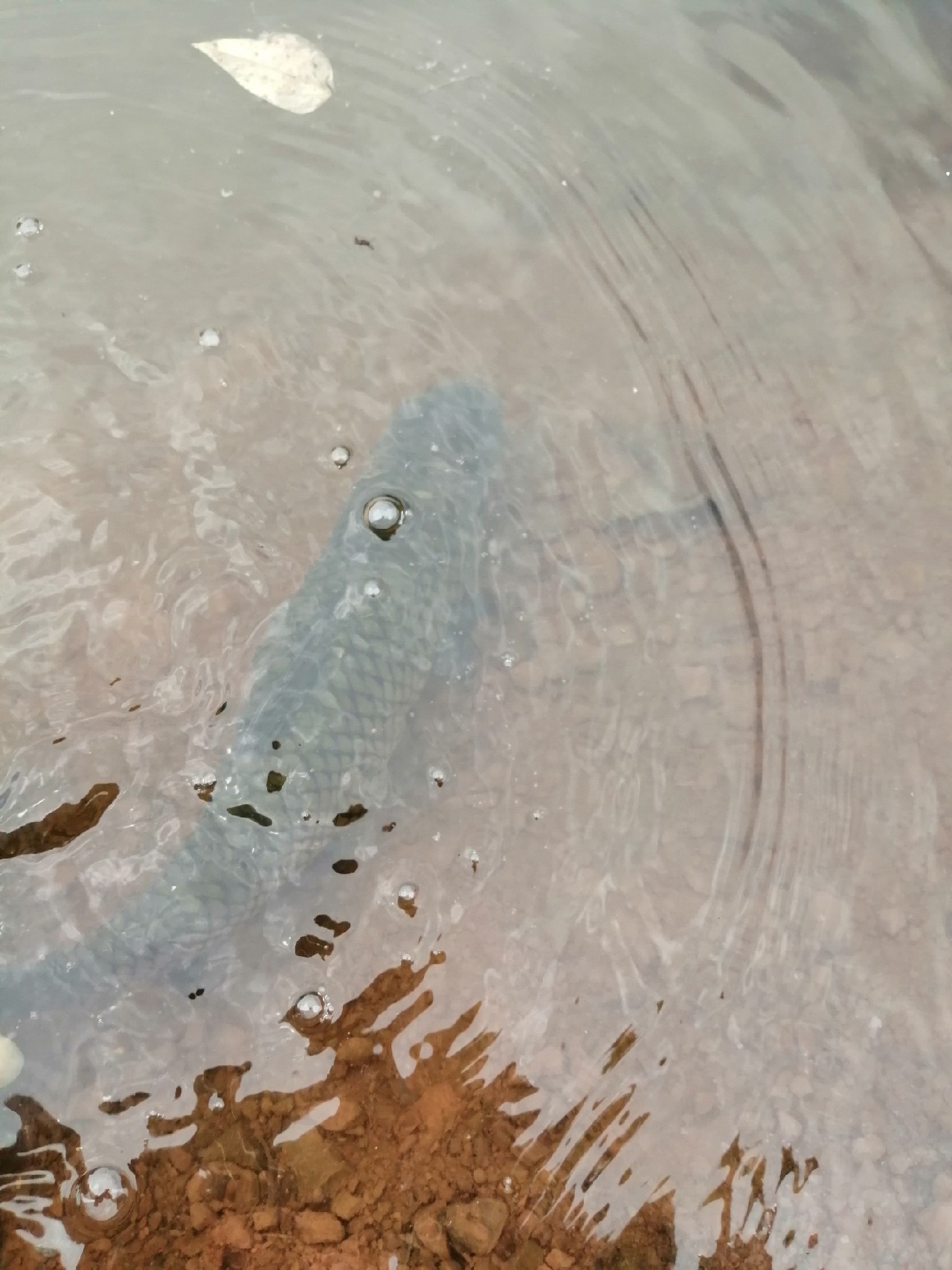 别人对你说钓鱼是什么意思,对于钓鱼各位钓友有什么看法