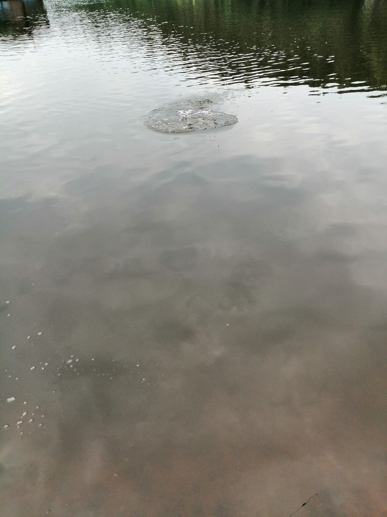 别人对你说钓鱼是什么意思,对于钓鱼各位钓友有什么看法