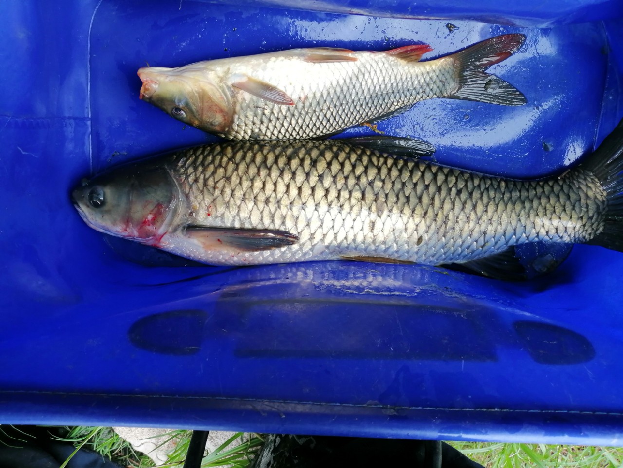 别人对你说钓鱼是什么意思,对于钓鱼各位钓友有什么看法