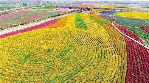 省下跨国机票钱！国内热气球乘坐攻略出炉，最低只要99元