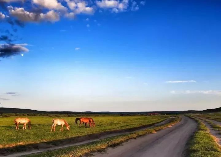 省下跨国机票钱！国内热气球乘坐攻略出炉，最低只要99元