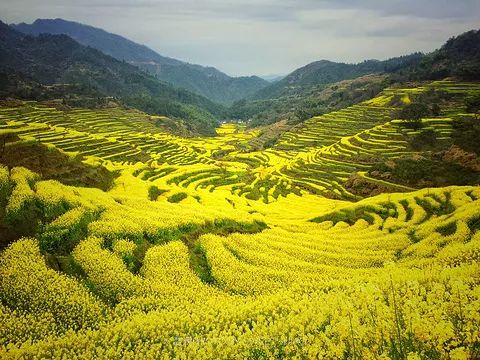 省下跨国机票钱！国内热气球乘坐攻略出炉，最低只要99元