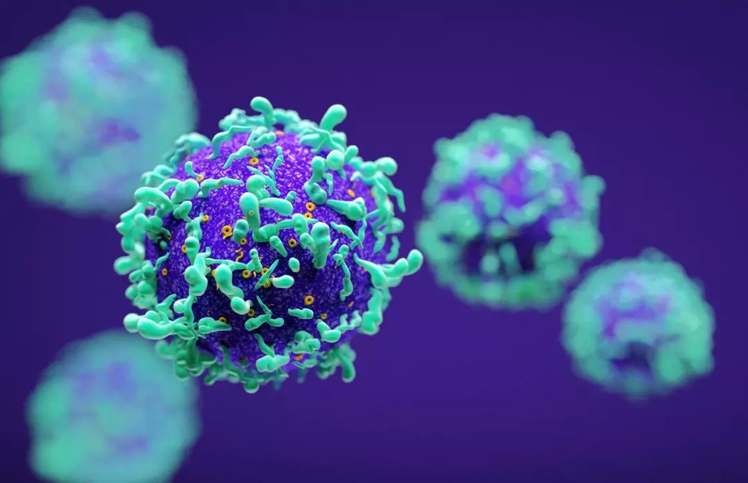 「检视界」宫颈癌筛查利器——HPV基因检测