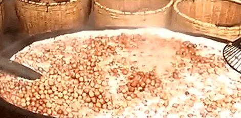 临安山核桃开杆,临安山核桃最新消息